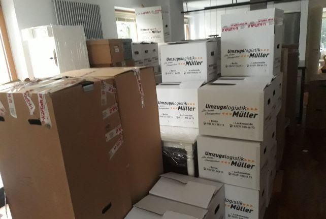 Labor Umzug preise erfahren in Borsdorf